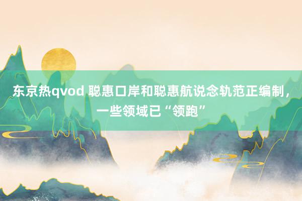 东京热qvod 聪惠口岸和聪惠航说念轨范正编制，一些领域已“领跑”