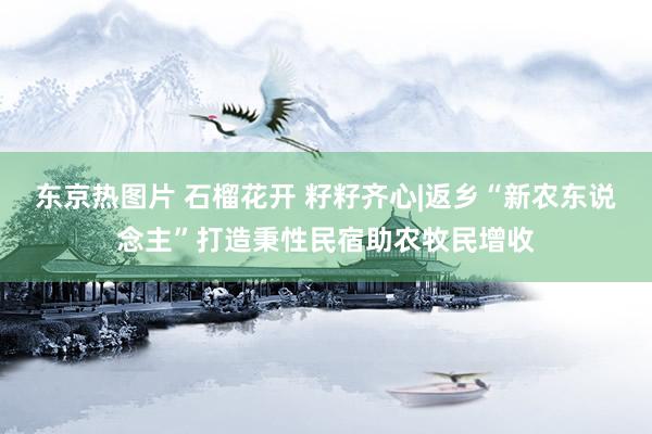 东京热图片 石榴花开 籽籽齐心|返乡“新农东说念主”打造秉性民宿助农牧民增收