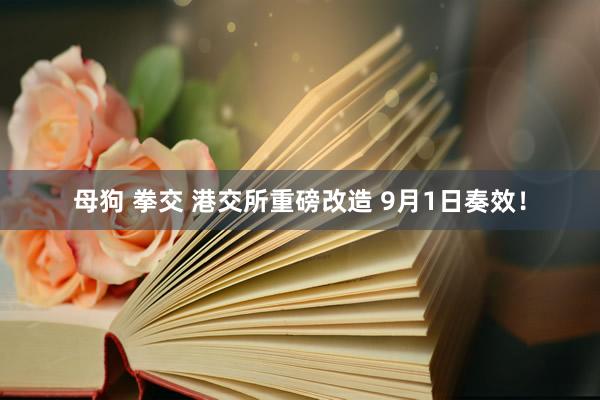 母狗 拳交 港交所重磅改造 9月1日奏效！
