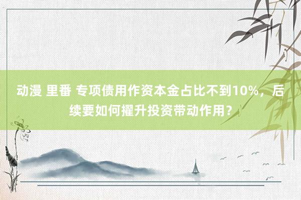 动漫 里番 专项债用作资本金占比不到10%，后续要如何擢升投资带动作用？