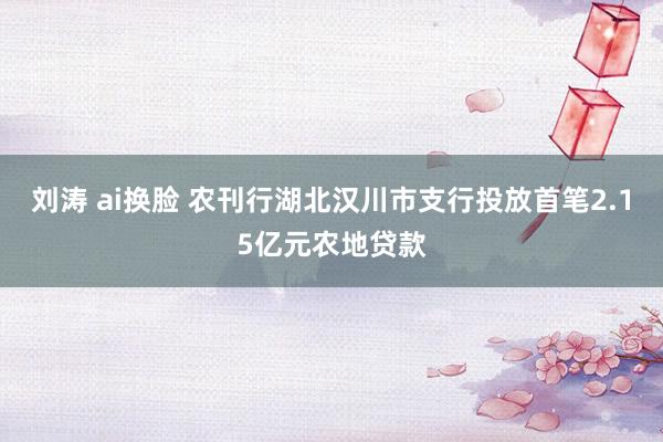 刘涛 ai换脸 农刊行湖北汉川市支行投放首笔2.15亿元农地贷款