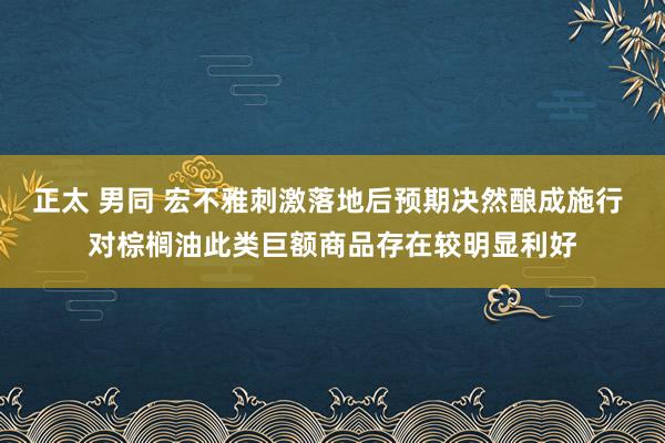 正太 男同 宏不雅刺激落地后预期决然酿成施行 对棕榈油此类巨额商品存在较明显利好