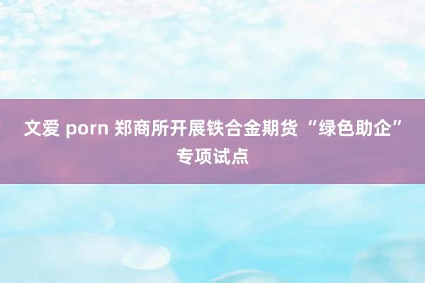 文爱 porn 郑商所开展铁合金期货 “绿色助企”专项试点