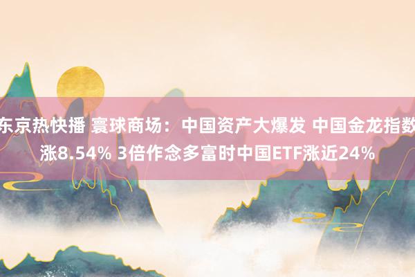 东京热快播 寰球商场：中国资产大爆发 中国金龙指数涨8.54% 3倍作念多富时中国ETF涨近24%